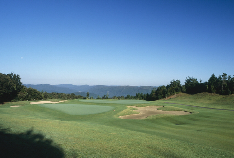 31d88a638a10cb2a4aa2fb0736c929e7_1770849844_2824.png 31d88a638a10cb2a4aa2fb0736c929e7_1770849844_2824.png