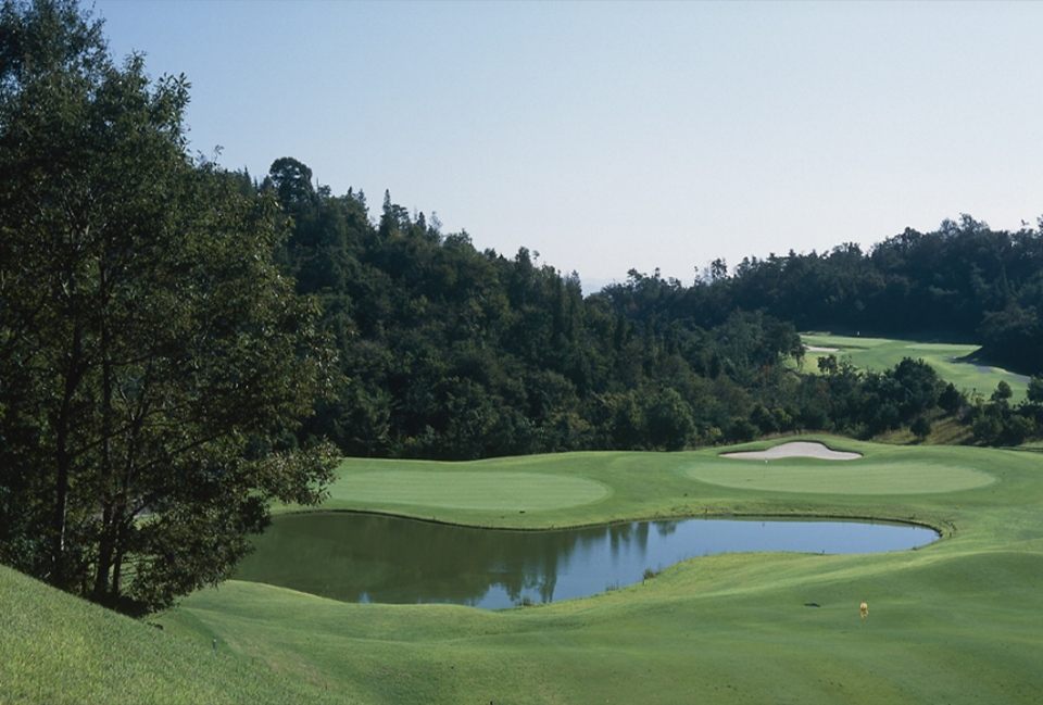 31d88a638a10cb2a4aa2fb0736c929e7_1770849865_8097.png 31d88a638a10cb2a4aa2fb0736c929e7_1770849865_8097.png