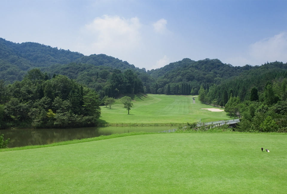 31d88a638a10cb2a4aa2fb0736c929e7_1770849903_4352.png 31d88a638a10cb2a4aa2fb0736c929e7_1770849903_4352.png