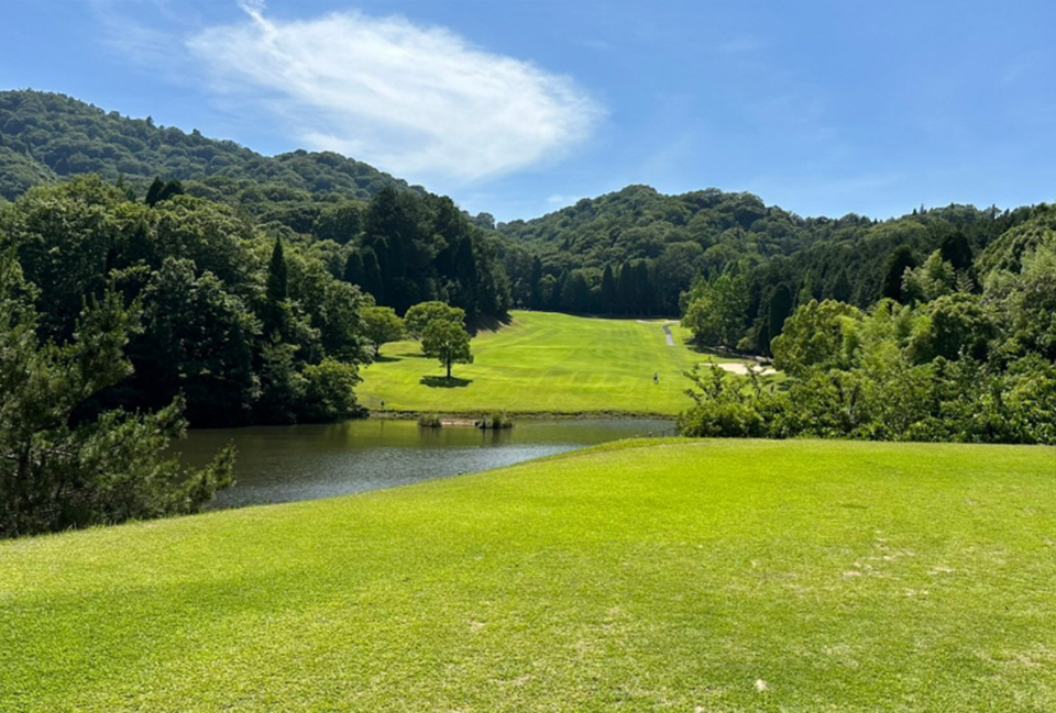 31d88a638a10cb2a4aa2fb0736c929e7_1770849903_55.png 31d88a638a10cb2a4aa2fb0736c929e7_1770849903_55.png