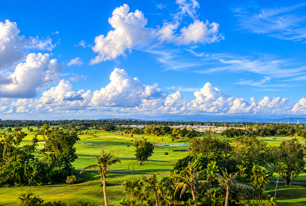 49652c9c00c9edcbfbe9636f82f311f6_1791077660_6587.png